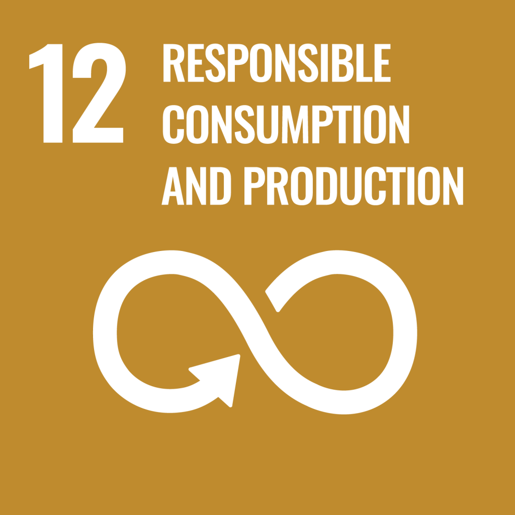 Hydrosafe SDG 9
